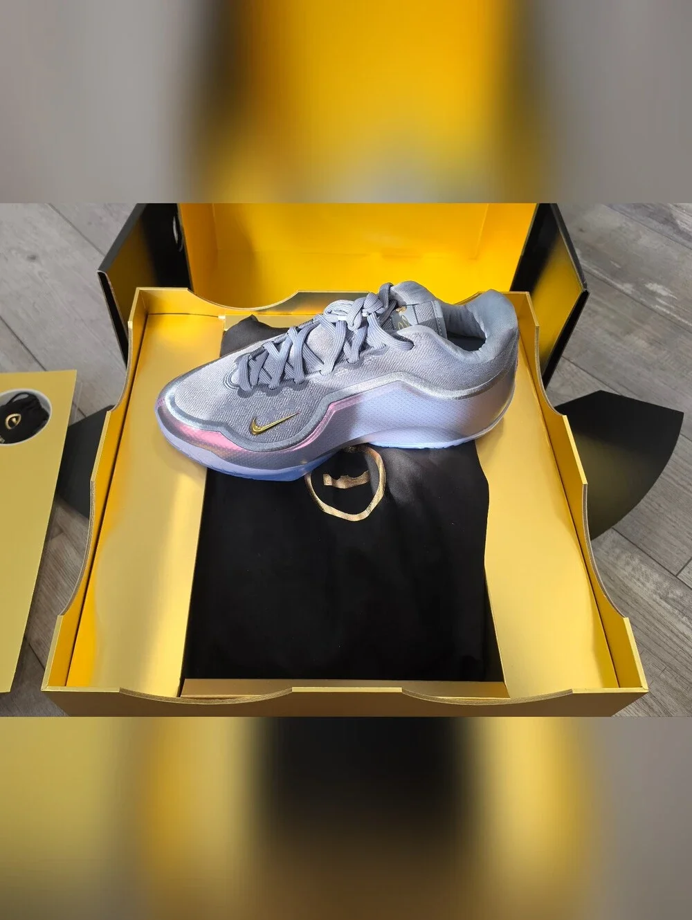 Nike LEBRON XXIII shut Up And Dribble Collectors Series. NIB